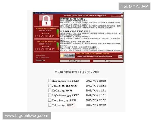 博万体育网站登录问题应急处理指南帮助用户应对登录中出现的各种问题