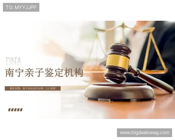 云顶4008集团app安全性评测及隐私保护措施详解，保障用户权益