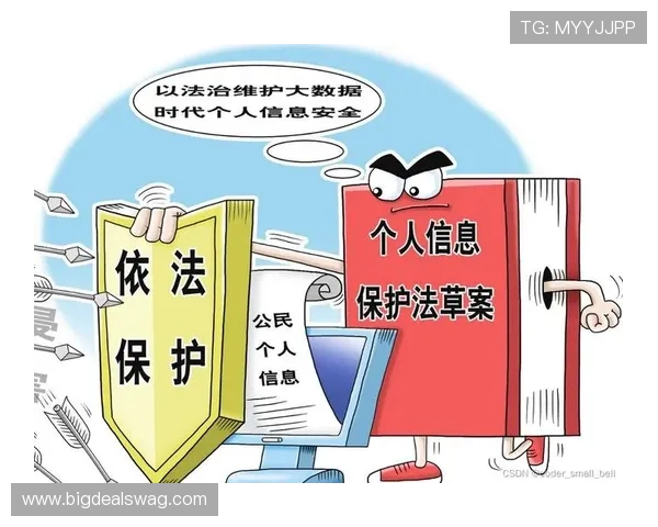 K8真人在线平台的安全保障体系与隐私保护措施解析