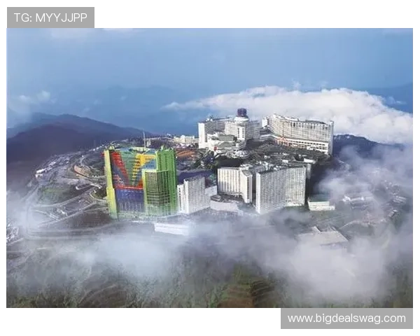 云顶赌场开户最新政策变化及影响分析助你掌握第一手资讯