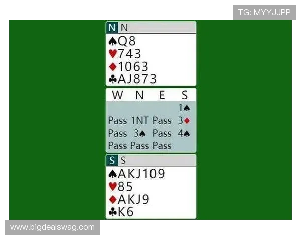 深入分析百家乐游戏的规则细节与实战操作技巧提升胜率