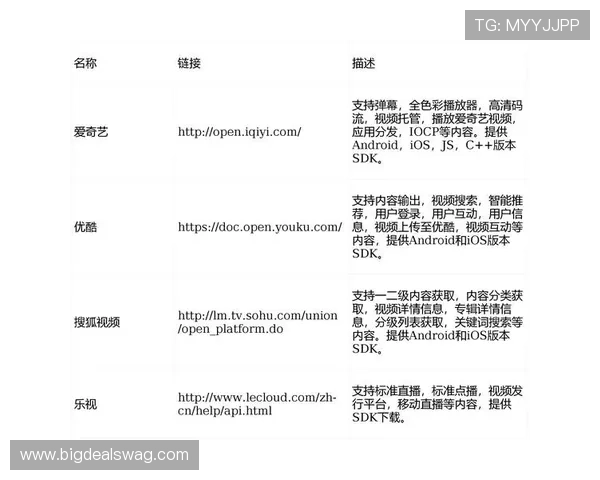 AG视讯接口集成指南帮助开发者快速实现多平台无缝对接与数据同步