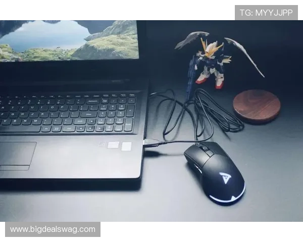 K8视讯版新手入门指南帮助玩家快速了解游戏基本规则与玩法