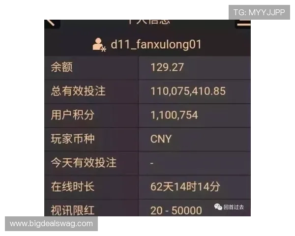 掌握AG真人百家乐的投注技巧，轻松应对各种游戏局势实现持续赢利